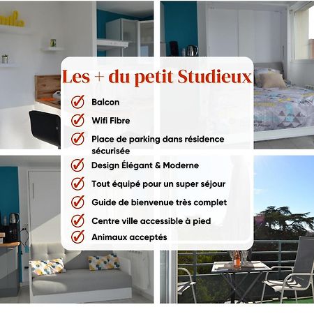 Le Petit Studieux - Parking - Animaux Acceptes - Centre Ville Accessible A Pied Albi Exterior foto