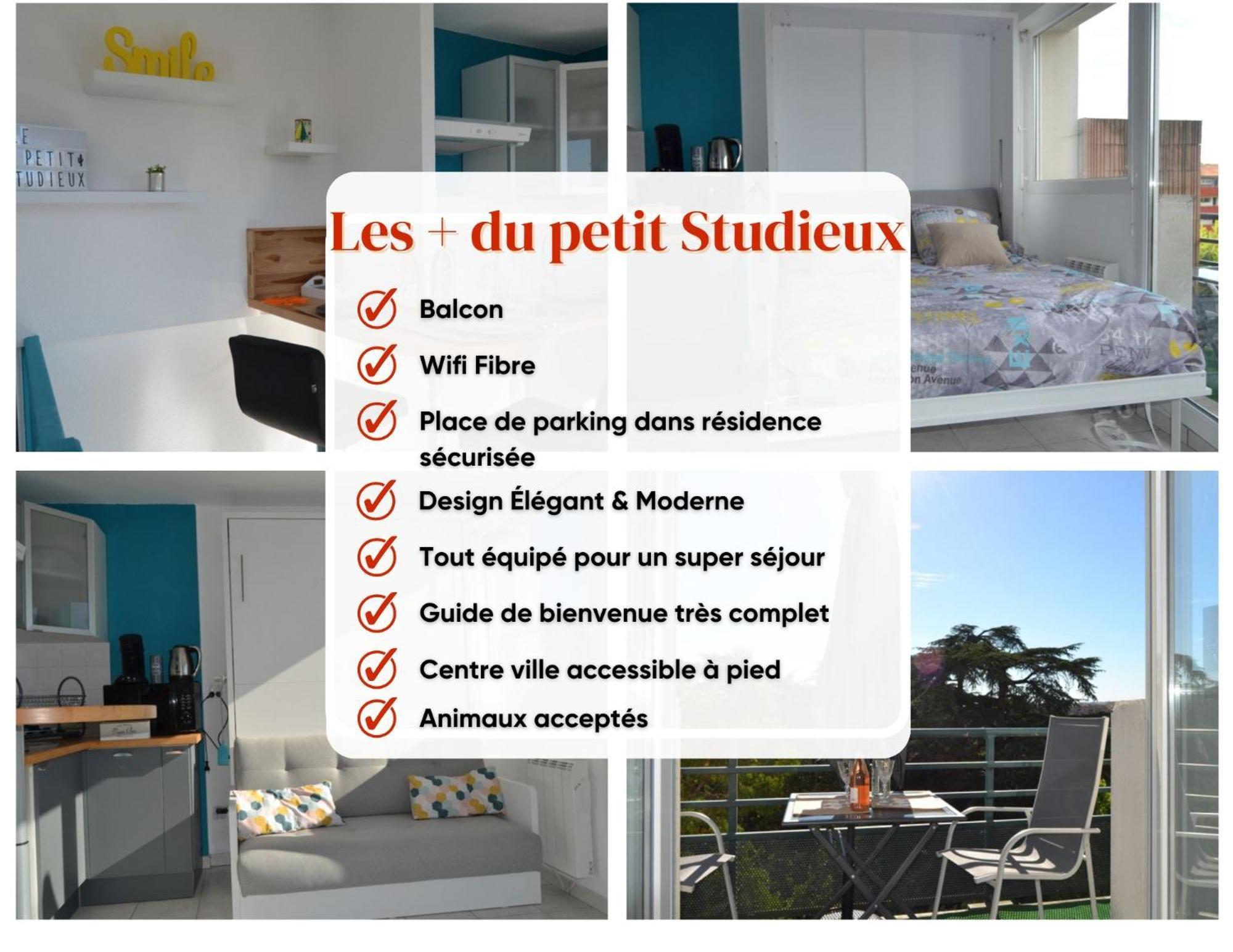 Le Petit Studieux - Parking - Animaux Acceptes - Centre Ville Accessible A Pied Albi Exterior foto