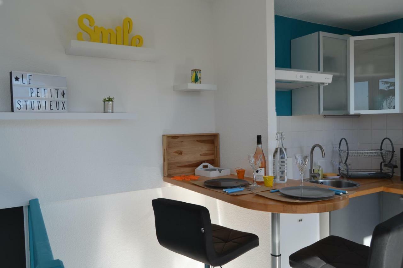 Le Petit Studieux - Parking - Animaux Acceptes - Centre Ville Accessible A Pied Albi Exterior foto