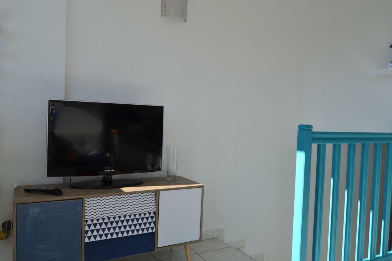Le Petit Studieux - Parking - Animaux Acceptes - Centre Ville Accessible A Pied Albi Exterior foto
