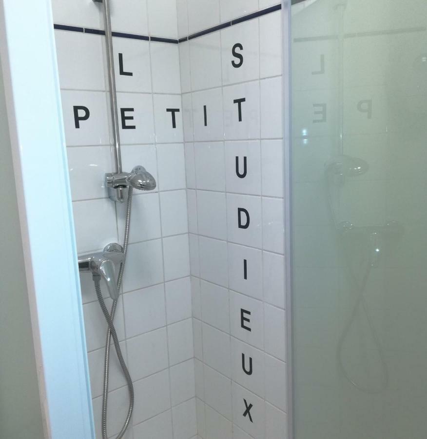 Le Petit Studieux - Parking - Animaux Acceptes - Centre Ville Accessible A Pied Albi Exterior foto
