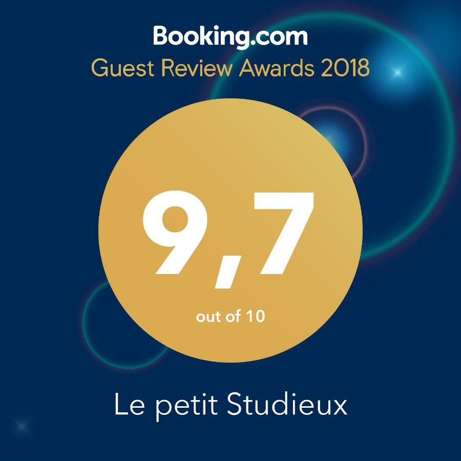 Le Petit Studieux - Parking - Animaux Acceptes - Centre Ville Accessible A Pied Albi Exterior foto
